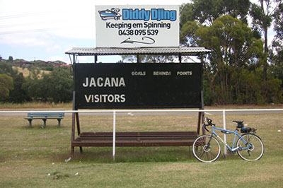 Jacana